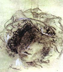 The Bonnet